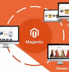 Today, we will explore the reason for purchasing Magento. 