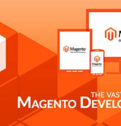 pwa and amp for magento development