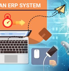 Custom ERP Development