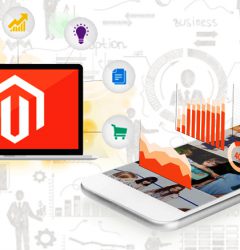 Magento Development Services