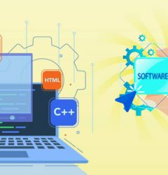 Software development outsourcing vs a distributed workforce