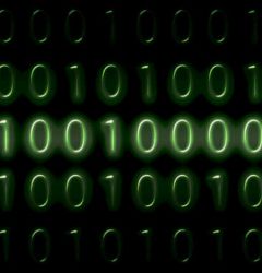 data management using hrms