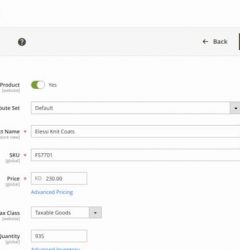Translating Magento 2 Product Descriptions: Multi-Language Store in Magento 2