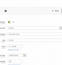 multi-language store in Magento