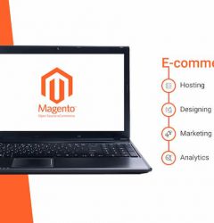 Magento eCommerce development