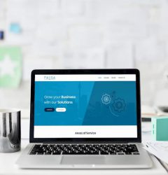 the genesis of pausa from its inception