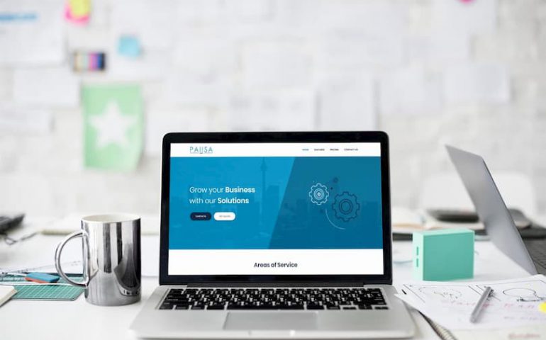 the genesis of pausa from its inception