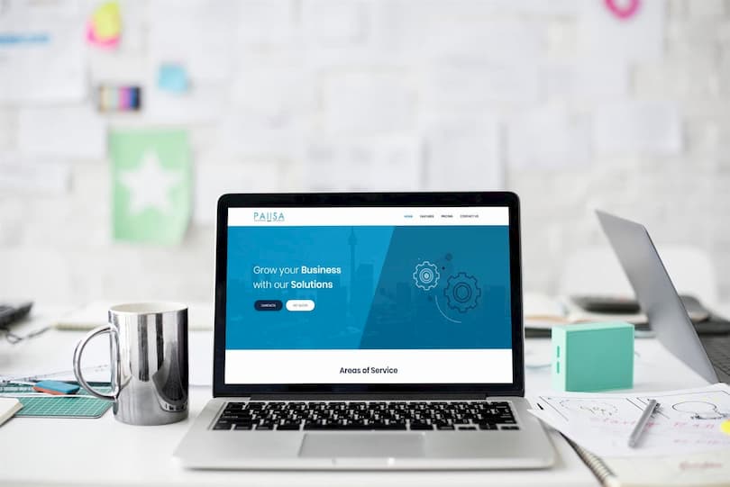 the genesis of pausa from its inception