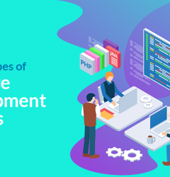 software development services